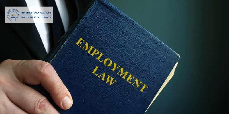 Abogado experto en empleo en Vista